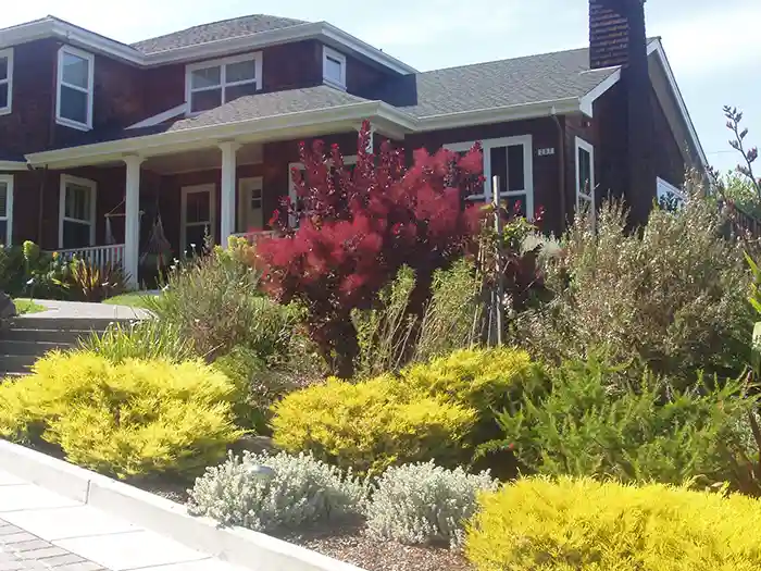 A Landscape design in Santa Rosa