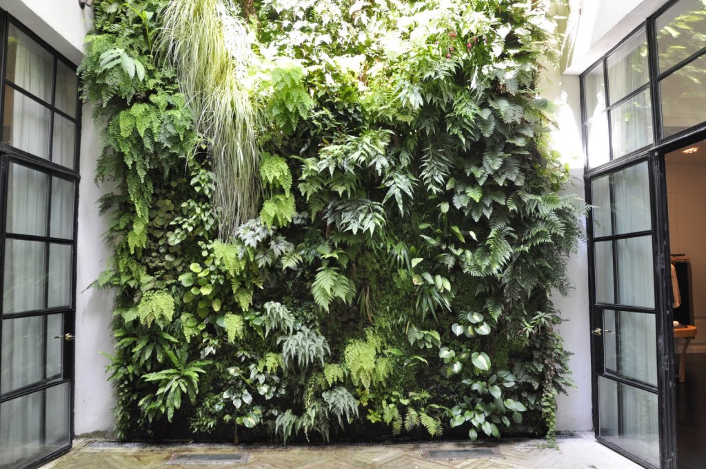 Green living wall