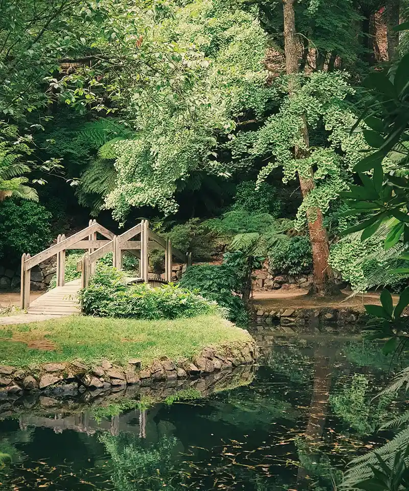 Landscape design featuring a foot bridge over water