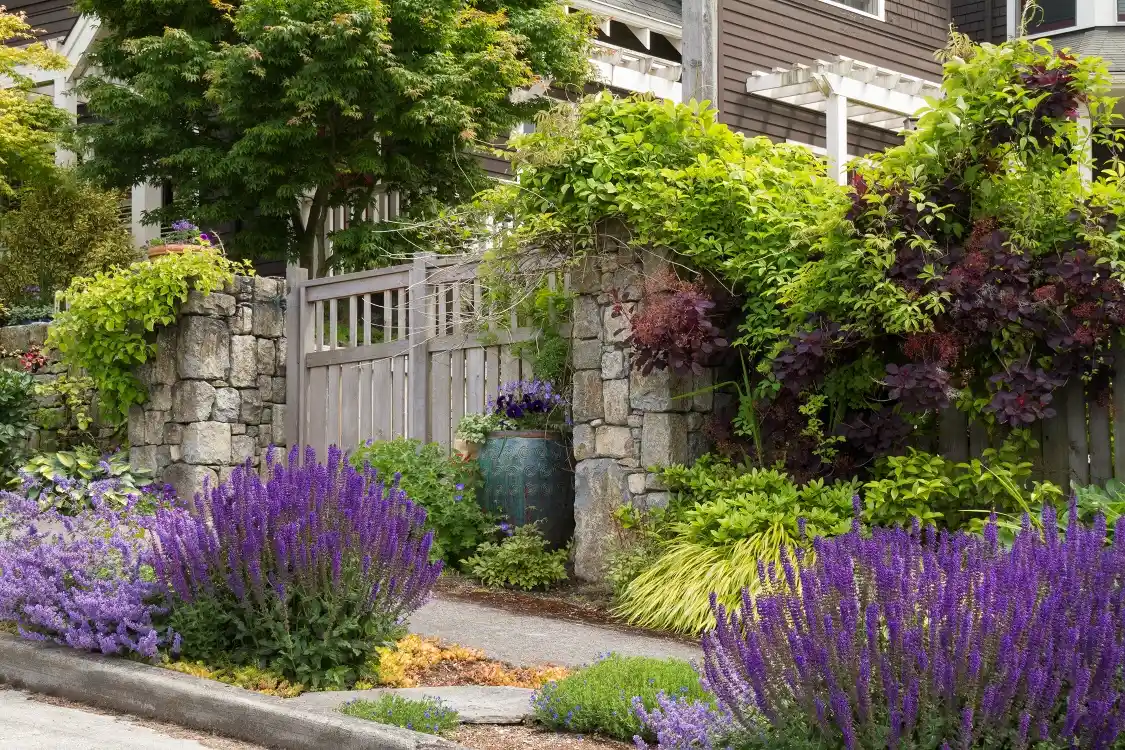 Drought tolerant landscape