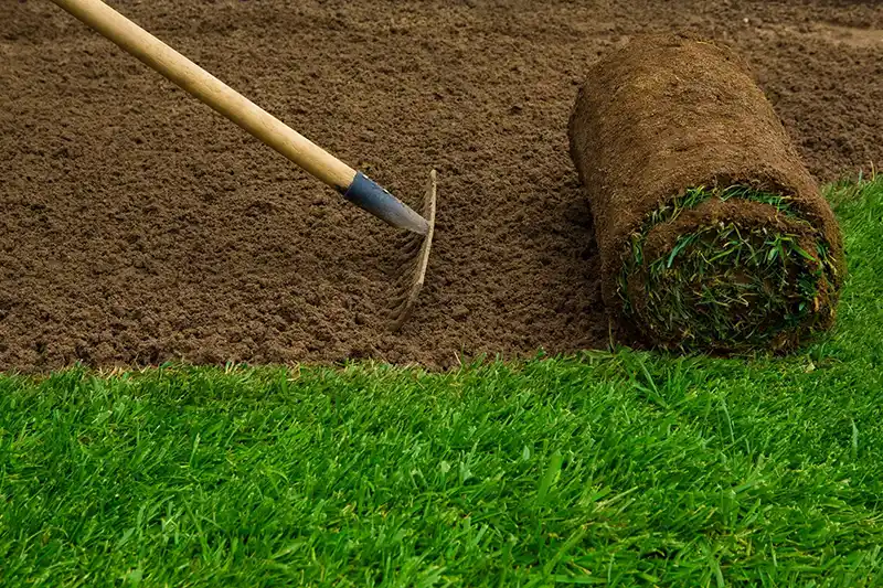 Installing new sod